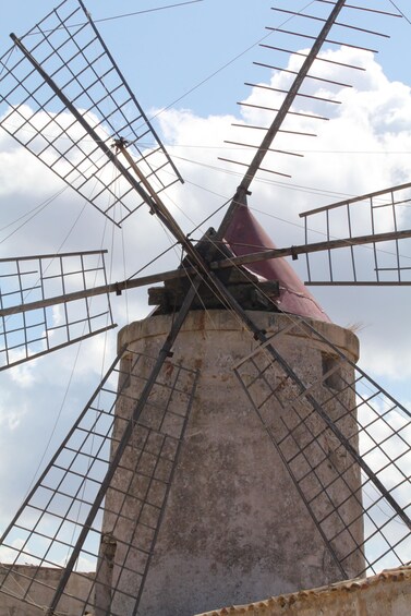 Picture 12 for Activity From Trapani: Salt Road Tour With Winery Visit and Boat Trip