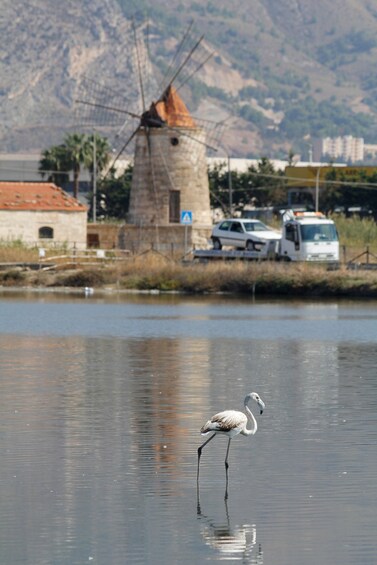 Picture 11 for Activity From Trapani: Salt Road Tour With Winery Visit and Boat Trip