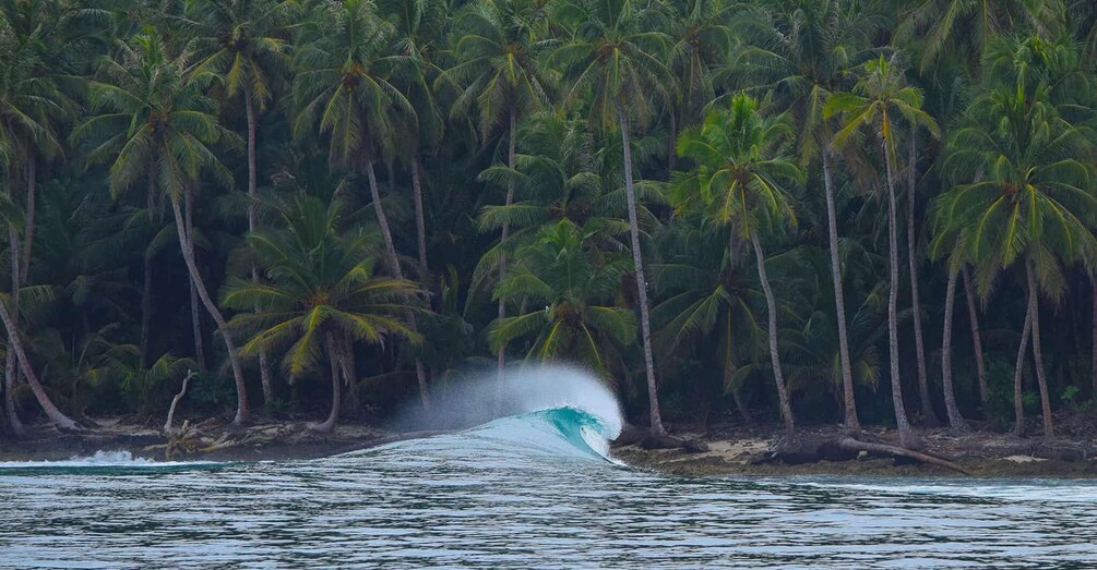 Picture 3 for Activity 3 Hours Surfing in Uvita - Marino Ballena National Park