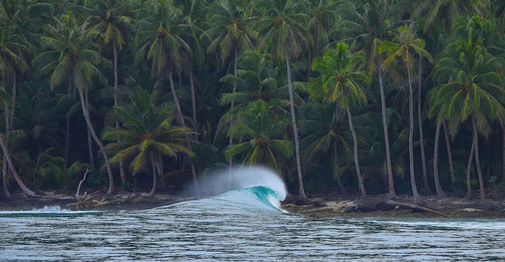 Picture 2 for Activity Uvita: Best Surfing Experience - 3 Hours Private Lessons