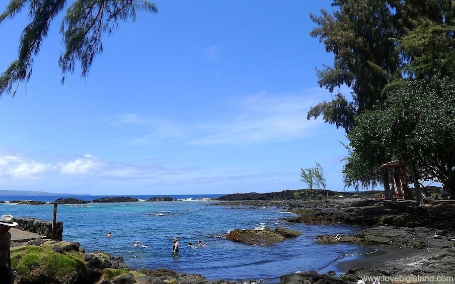 Picture 2 for Activity From Kona-Volcanoes & waterfall tour in a small group