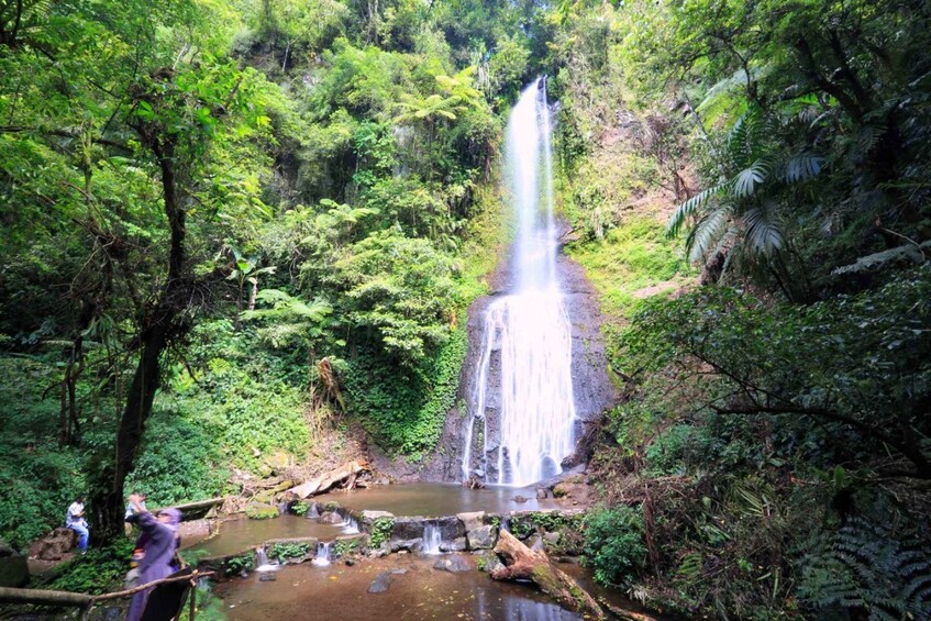 Picture 2 for Activity From Jakarta: Safari Park, Tea Plantation & Jaksa Waterfall