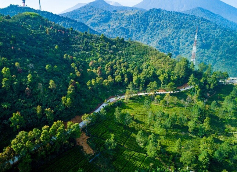 Picture 3 for Activity From Jakarta: Safari Park, Tea Plantation & Jaksa Waterfall