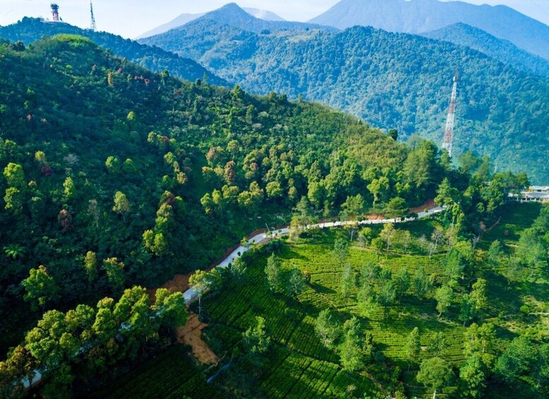 Picture 3 for Activity From Jakarta: Safari Park, Tea Plantation & Jaksa Waterfall