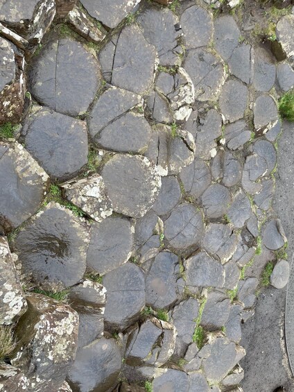 Picture 11 for Activity From Belfast: Private Giants Causeway Coastal Tour