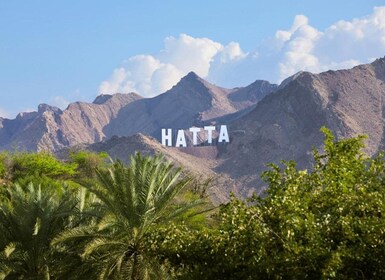 From Dubai: Hatta Sightseeing Tour with kayaking