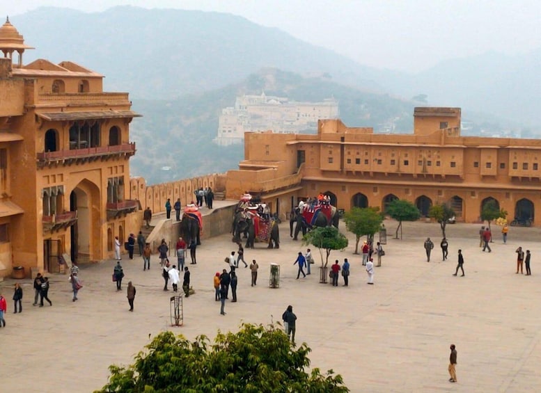 One day Tour in Pink City Jaipur with Guide