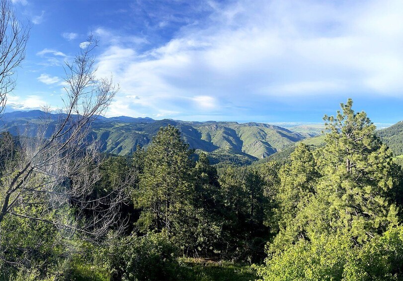 Picture 6 for Activity Denver: Get High on a Mountain Tour with Sunset Views