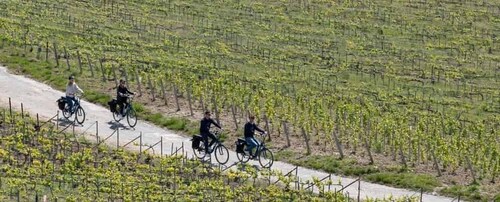 Ettermiddagstur med elsykkel til Champagne fra Reims