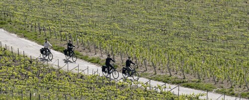 Afternoon E-Bike Champagne tour from Reims