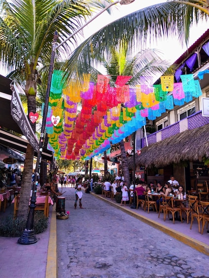 Picture 5 for Activity From Puerto Vallarta: Sayulita City Tour with Food & Drinks