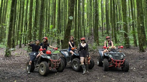 Bali: Bedugul Real Forest Quad Bikes quad bike Adventures