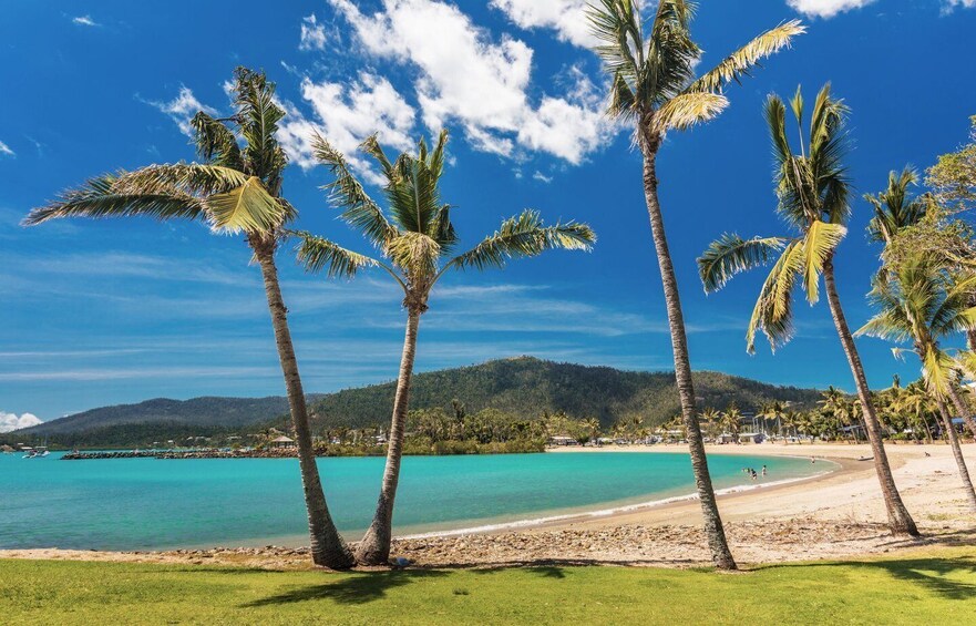 Airlie Beach: Hopper Sightseeing Bus with Lunch