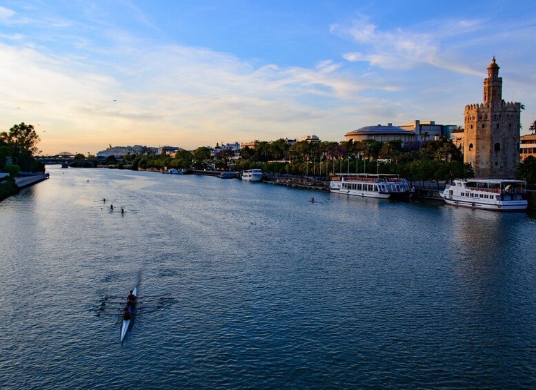 Picture 7 for Activity From Costa del Sol: Seville Day Trip