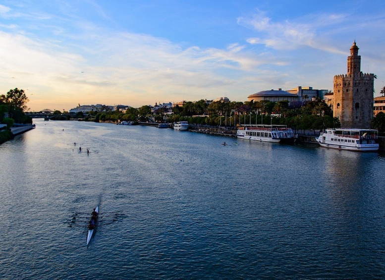 Picture 7 for Activity From Costa del Sol: Seville Day Trip
