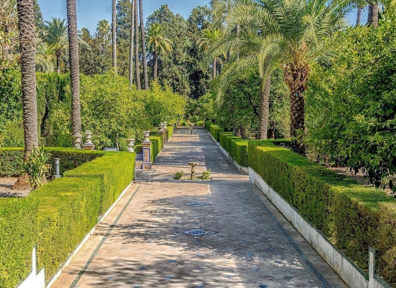Picture 8 for Activity From Costa del Sol: Seville Day Trip