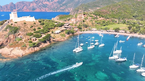Ile Rousse : Scandola and Girolata