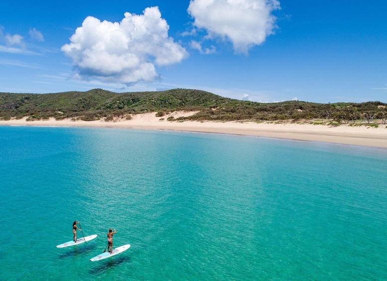 Picture 3 for Activity Rosslyn: Great Keppel Island Return Ferry Transfer