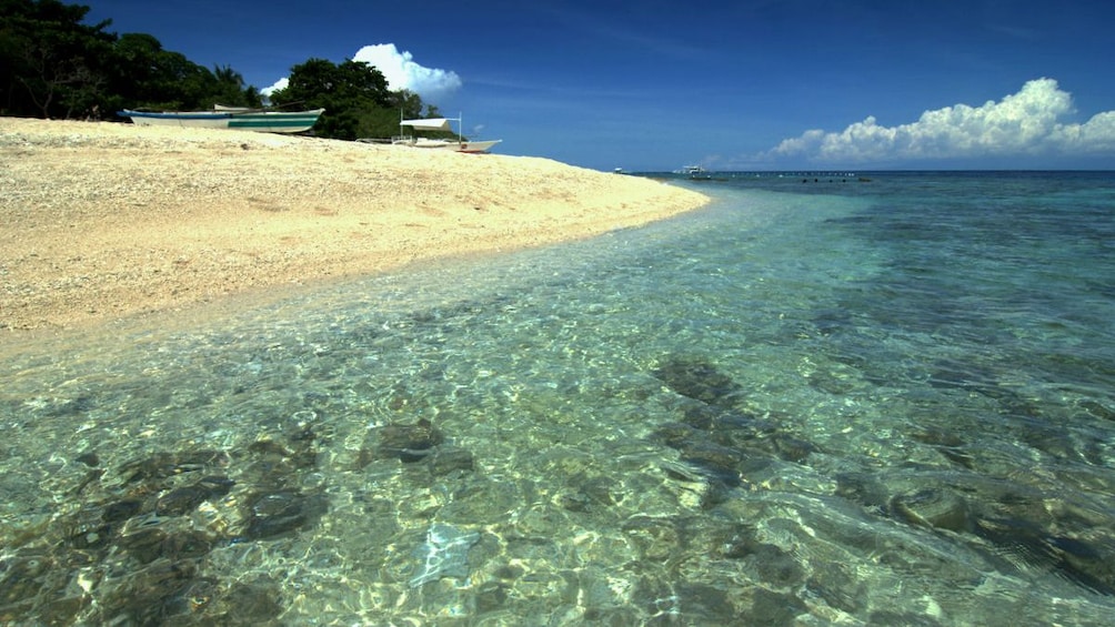 Beach of Balicasag island