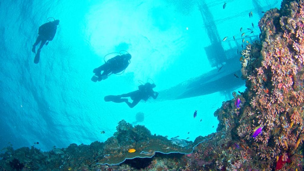 Upward view of three SCUBA divers above a reef and below a boat