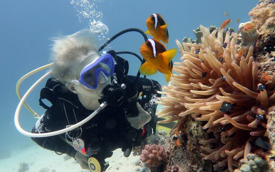 Picture 4 for Activity Scuba Diving in Unawatuna