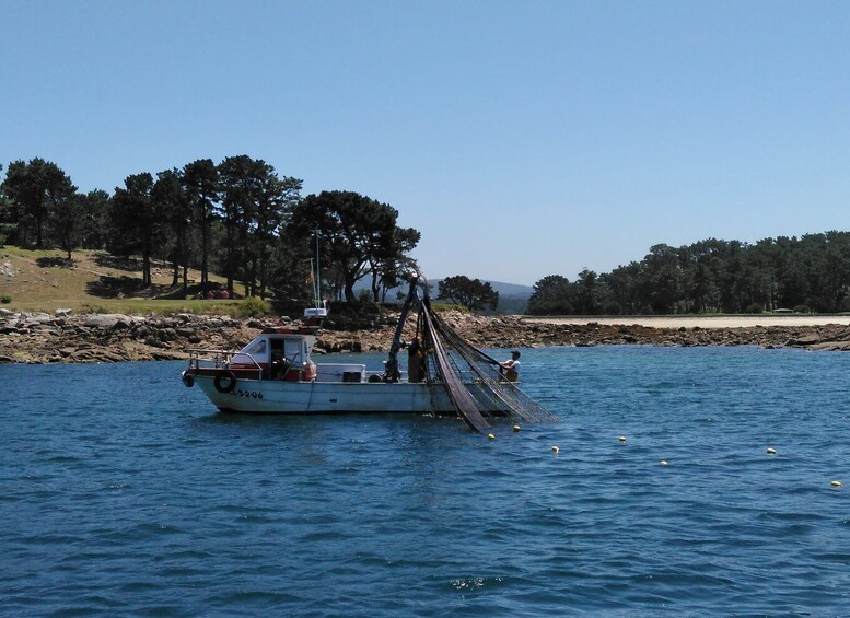 Picture 6 for Activity From Santiago de Compostela: Rias Baixas Tour
