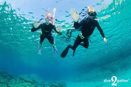 Plakias: Curso de snorkel "Creta bajo el agua"|- a partir de 6 años