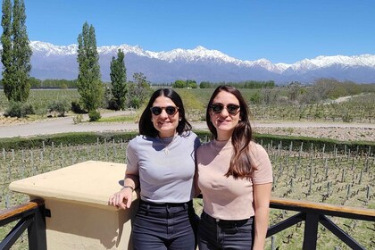 Mendoza's top wineries !Private tour visiting three wineries