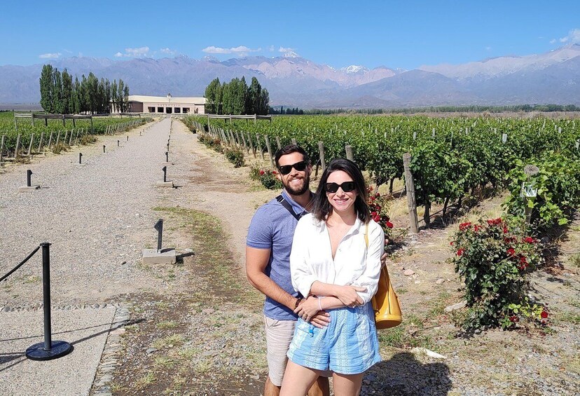 Picture 7 for Activity Mendoza's top wineries !Private tour visiting three wineries