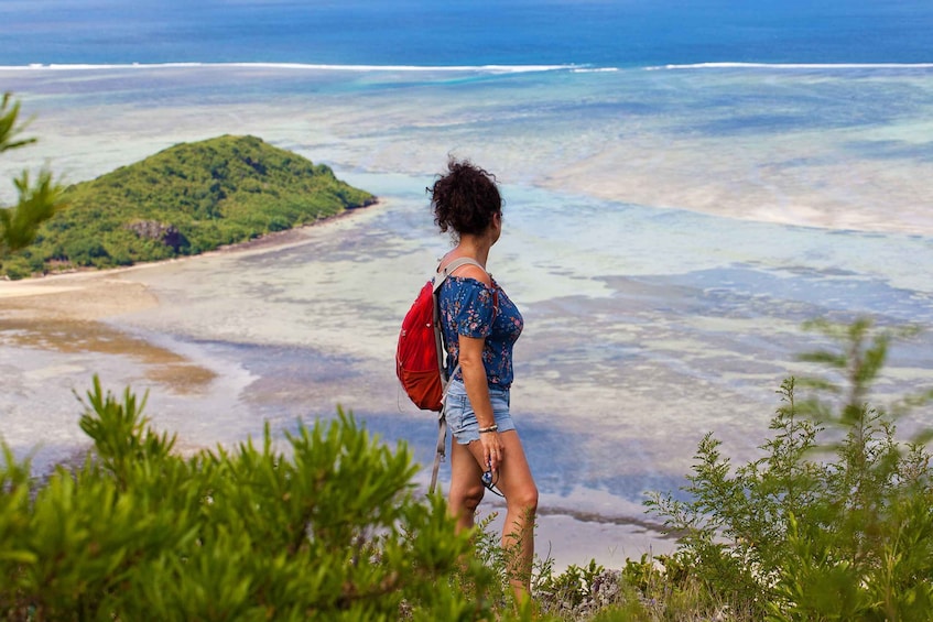 Picture 15 for Activity Le Morne: Mountain Hike with Local Guides