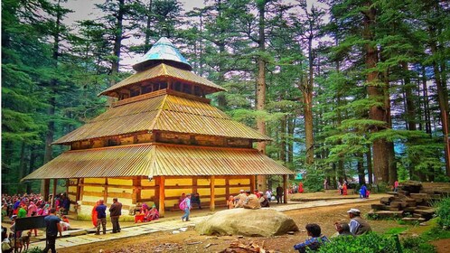 Tour privado de día completo por la ciudad de Manali