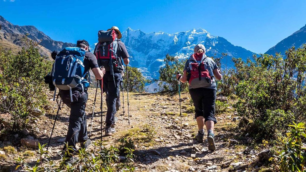 Picture 8 for Activity 4 days/3 nights: Inka Jungle Trek to Machu Picchu