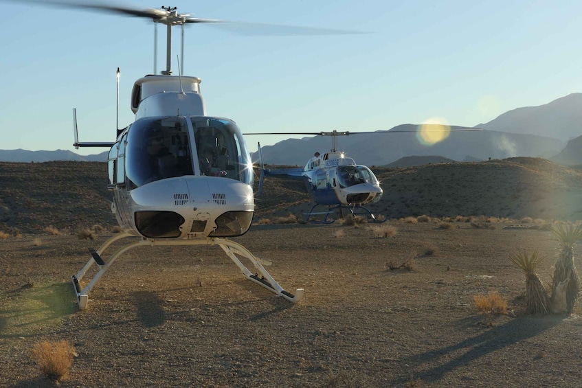 Picture 1 for Activity Las Vegas: Grand Canyon Helicopter West Rim Flight & Options