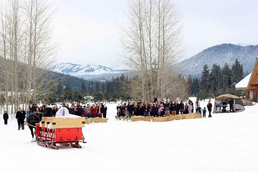 Picture 1 for Activity From Seattle: Leavenworth Full Day Tour