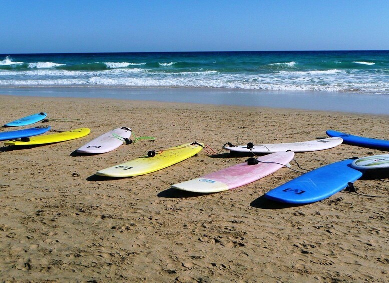 Picture 5 for Activity Cocoa Beach: Surfboard Rental