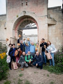 Tour tra i Templi dell'Olio e gli Olivi Patriarchi