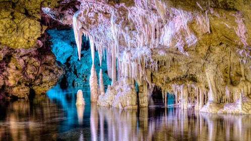 Mallorca: Cuevas dels Hams Entrada con Transporte