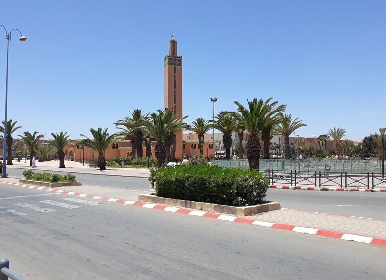 Picture 4 for Activity From Taghazout: Massa Desert and Tiznit Visit with Lunch