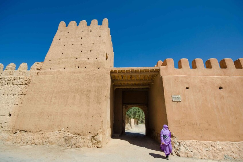 Picture 5 for Activity From Taghazout: Massa Desert and Tiznit Visit with Lunch