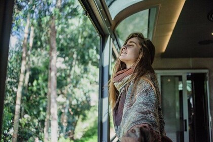 Full-Day Luxury Tour to Machu Picchu by Premium Train