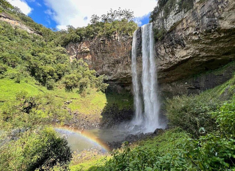 Picture 5 for Activity Transfers from Porto Alegre and region to Gramado or Canela