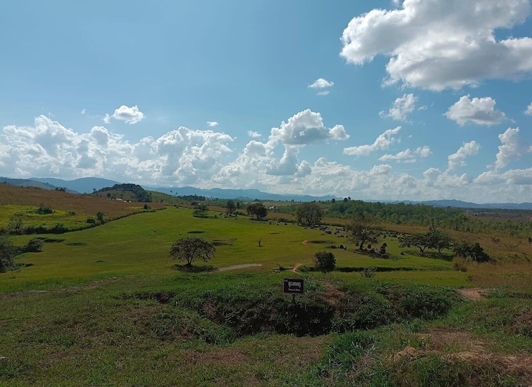 Picture 4 for Activity Plain of jars private tour