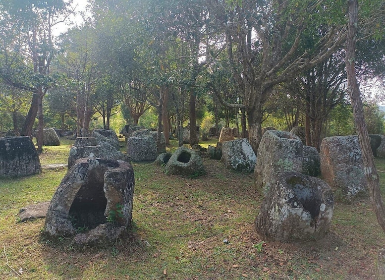 Plain of jars private tour