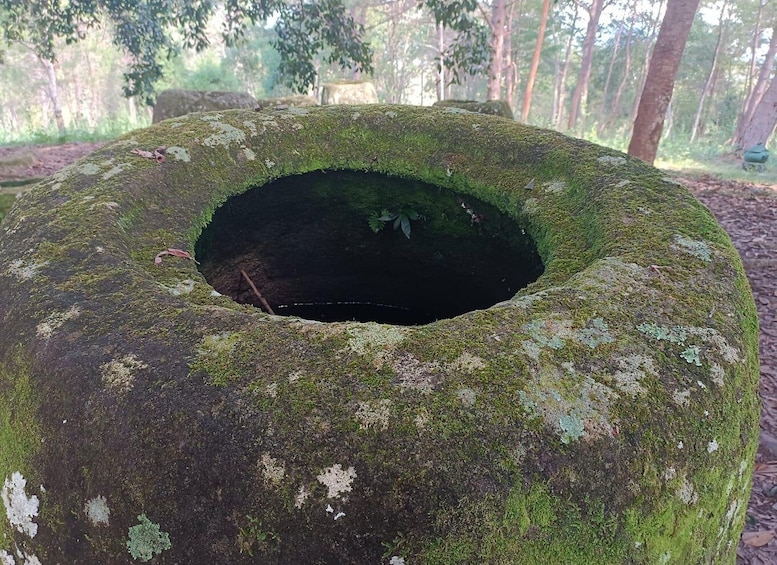 Picture 2 for Activity Plain of jars private tour