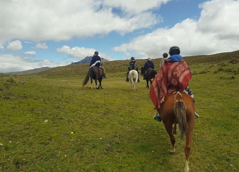 Picture 2 for Activity Horseback Riding in Cotopaxi all included