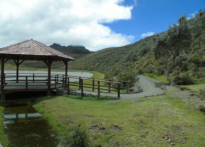 Picture 4 for Activity Horseback Riding in Cotopaxi all included