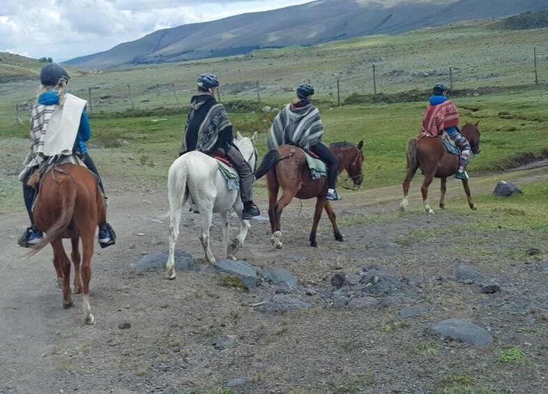 Picture 3 for Activity Horseback Riding in Cotopaxi all included