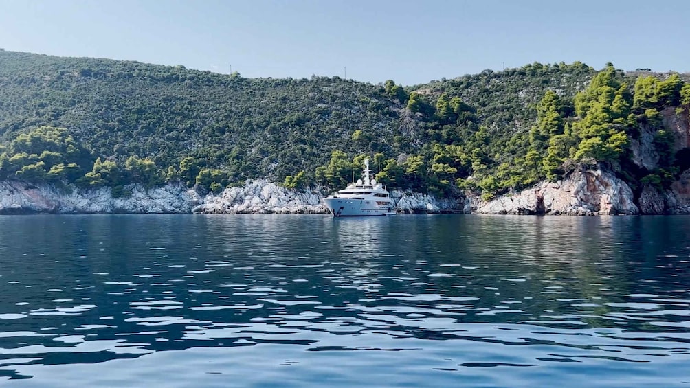 Picture 2 for Activity From Skiathos: Skopelos and Alonissos Boat Trip with Stops