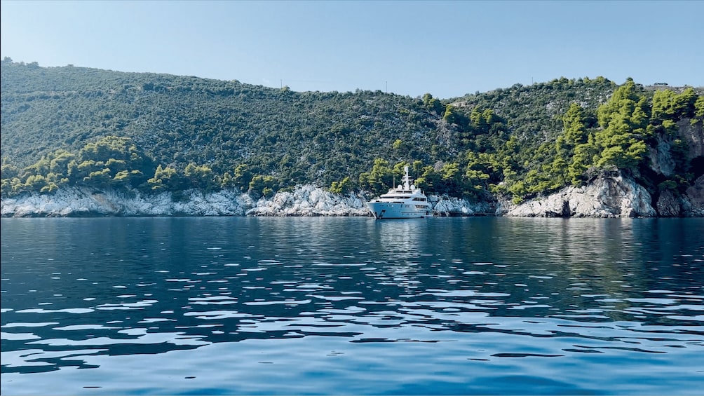 Picture 2 for Activity From Skiathos: Skopelos and Alonissos Boat Trip with Stops