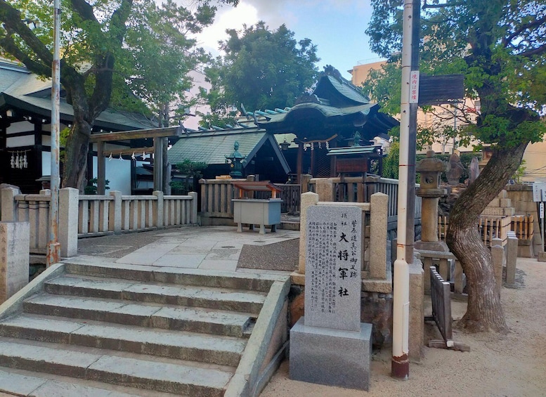 Picture 2 for Activity Osaka : 3/4/5 Hours Private Tour With Local Guide